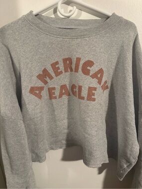 American Eagle Grey Cropped Sweatshirt